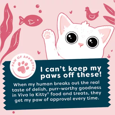 Product Viva La Kitty Kitten Wet Food - Pate, Variety Pack, 12 Ct, 36 Oz