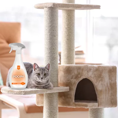 Product POOPH® Kitty Odor Eliminator Spray, 20 oz