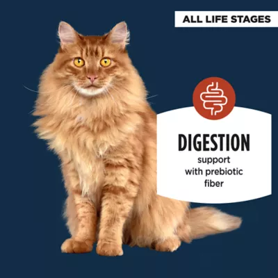 Product Authority® Digestive Support Cat Meal Topper - 1.4 Oz