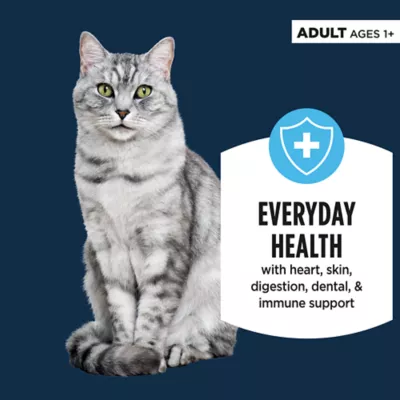 Product Authority Cat - Adult, Wet Food, Split Cup, Chunks, Gravy, Salmon, 2.65 OZ