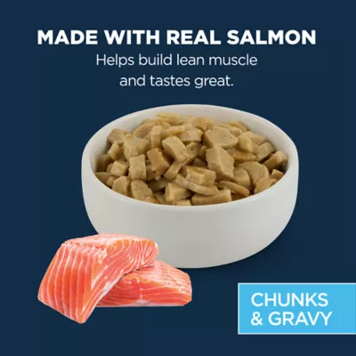 Product Authority Cat - Adult, Wet Food, Split Cup, Chunks, Gravy, Salmon, 2.65 OZ