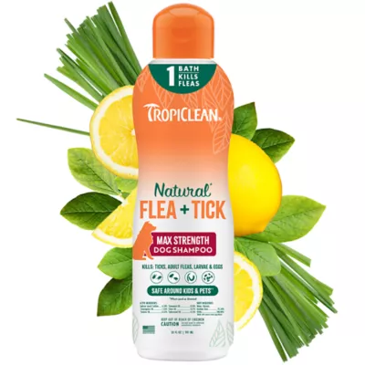 Product TropiClean Maximum Strength Natural Flea & Tick Shampoo - For Dogs 12 Weeks and Older, 20 Oz Bottle