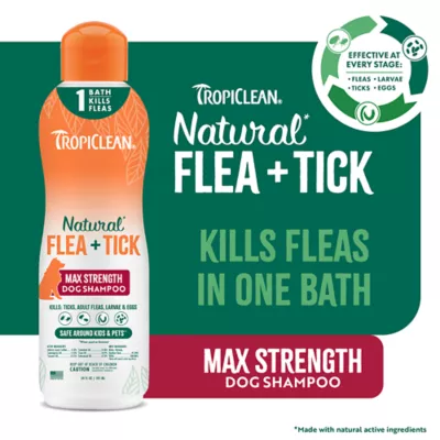 Product TropiClean Maximum Strength Natural Flea & Tick Shampoo - For Dogs 12 Weeks and Older, 20 Oz Bottle