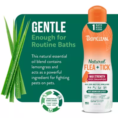 Product TropiClean Maximum Strength Natural Flea & Tick Shampoo - For Dogs 12 Weeks and Older, 20 Oz Bottle