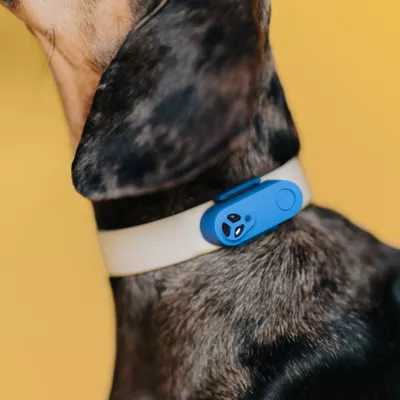 Product Tickless Mini Flea & Tick Repellant for Dogs