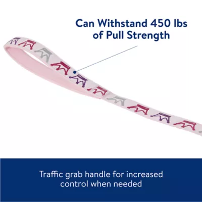 Product Top Paw® Blue Prince and Princess Dog Leash