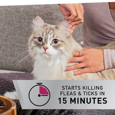 Product NextStar® Flea & Tick Prevention for Cats