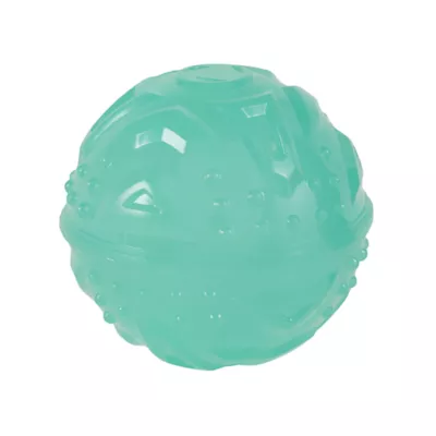 Product Arcadia Trail® Glow-in-the-Dark Dog Toy