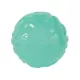 Product Arcadia Trail® Glow-in-the-Dark Dog Toy