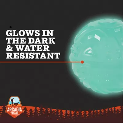 Product Arcadia Trail® Glow-in-the-Dark Dog Toy