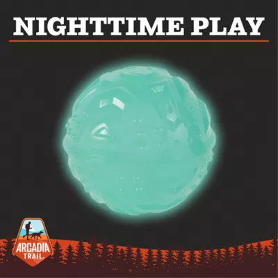 Product Arcadia Trail® Glow-in-the-Dark Dog Toy