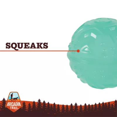 Product Arcadia Trail® Glow-in-the-Dark Dog Toy