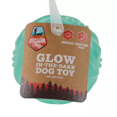 Product Arcadia Trail® Glow-in-the-Dark Dog Toy
