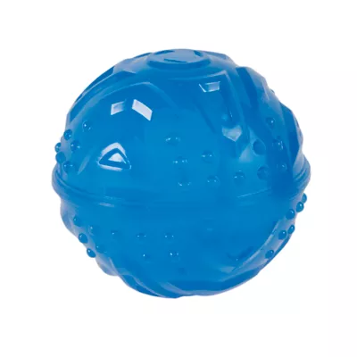 Product Arcadia Trail® Glow-in-the-Dark Dog Toy