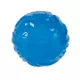 Product Arcadia Trail® Glow-in-the-Dark Dog Toy