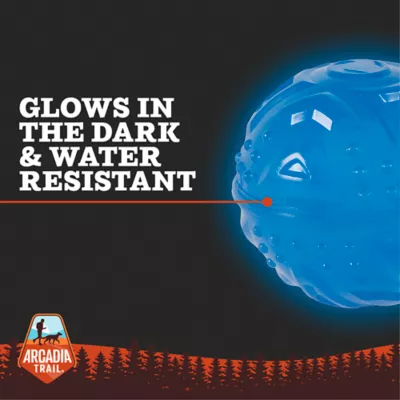Product Arcadia Trail® Glow-in-the-Dark Dog Toy