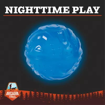 Product Arcadia Trail® Glow-in-the-Dark Dog Toy