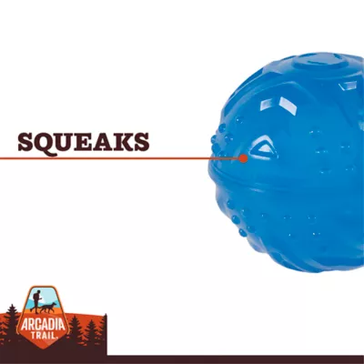 Product Arcadia Trail® Glow-in-the-Dark Dog Toy
