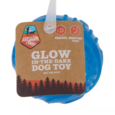 Product Arcadia Trail® Glow-in-the-Dark Dog Toy