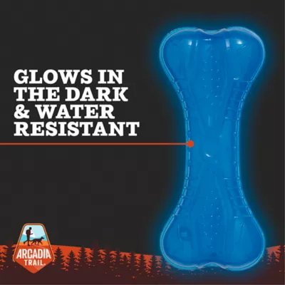 Product Arcadia Trail® Glow-in-the-Dark Blue Bone Dog Toy
