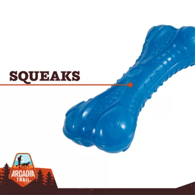 Product Arcadia Trail® Glow-in-the-Dark Blue Bone Dog Toy