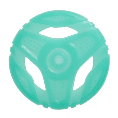 Product Arcadia Trail® Glow-in-the-Dark Green Flyer Dog Toy