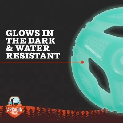 Product Arcadia Trail® Glow-in-the-Dark Green Flyer Dog Toy