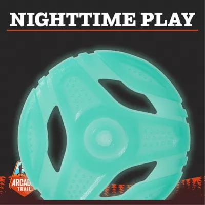Product Arcadia Trail® Glow-in-the-Dark Green Flyer Dog Toy