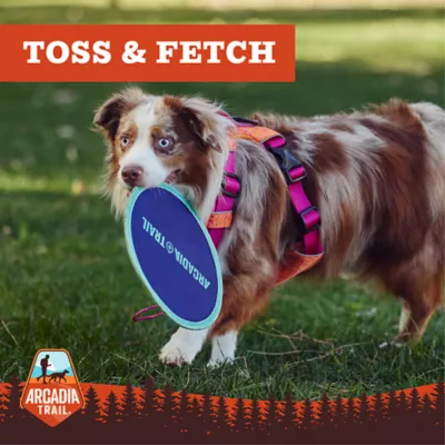 Product Arcadia Trail® Toss-and-Fetch Compass Flyer Dog Toy