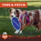 Product Arcadia Trail® Toss-and-Fetch Compass Flyer Dog Toy