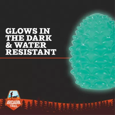 Product Arcadia Trail® Glow-in-the-Dark Green Pinecone Dog Toy