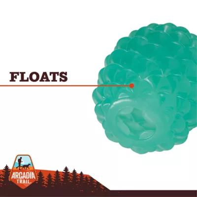 Product Arcadia Trail® Glow-in-the-Dark Green Pinecone Dog Toy