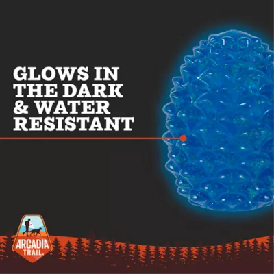 Product Arcadia Trail® Glow-in-the-Dark Blue Pinecone Dog Toy