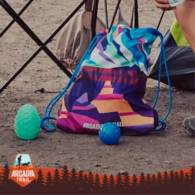 Product Arcadia Trail® Glow-in-the-Dark Blue Pinecone Dog Toy