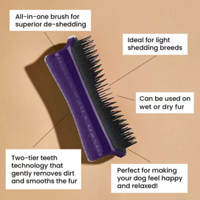 Product Pet Teezer Detangling Brush for Dogs, Black/Purple