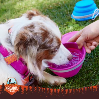 Product  Arcadia Trail® Collapsible Dog Bowl with Lid