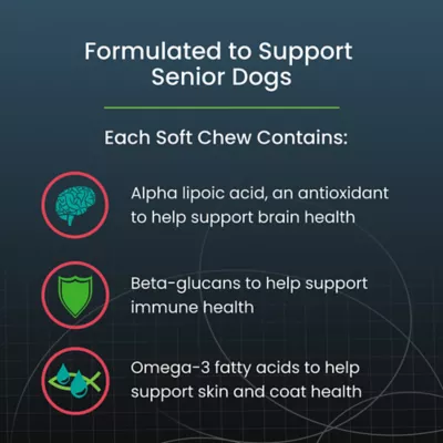 Product Nutramax Dasuquin® Joint Health Supplement for Large Senior Dogs Over 60 lbs, Soft Chews, 84 Count