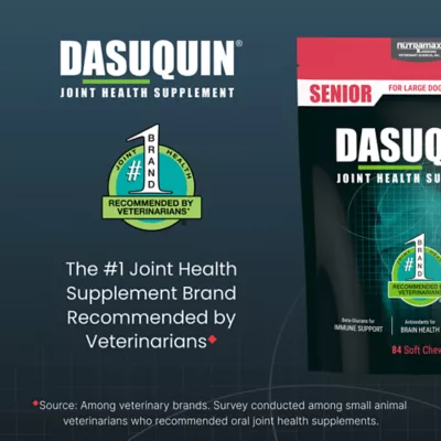 Product Nutramax Dasuquin® Joint Health Supplement for Large Senior Dogs Over 60 lbs, Soft Chews, 84 Count