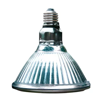Product Arcadia Reptile GoldenSun® Basking Halogen Lamp