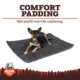 Product Arcadia Trail® Water-Resistant Warming Dog Blanket