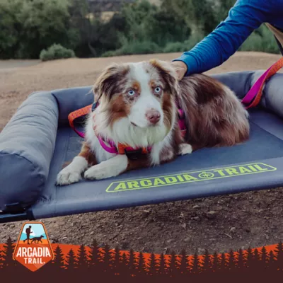 Product Arcadia Trail® Supportive Bolster Cot Dog Bed