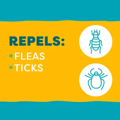 Product Only Natural Pet Easy Defense Flea &Tick Cat Collar