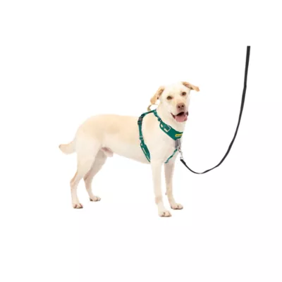 Product PetSafe® Easy Walk® Comfort No-Pull Dog Harness