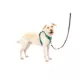 Product PetSafe® Easy Walk® Comfort No-Pull Dog Harness