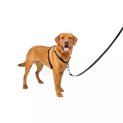 Product PetSafe® 3 in 1 Harness