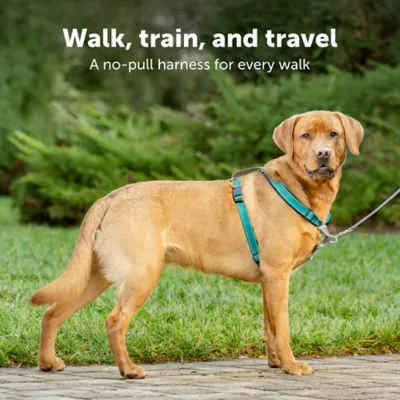 Product PetSafe® 3 in 1 Harness