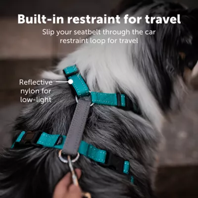 Product PetSafe® 3 in 1 Harness