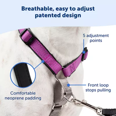 Product PetSafe® 3 in 1 Harness
