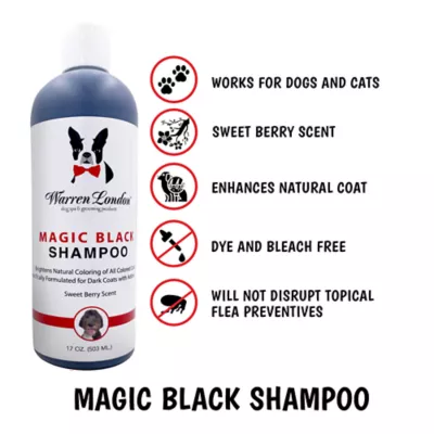 Product Warren London Magic Black Brightening Shampoo