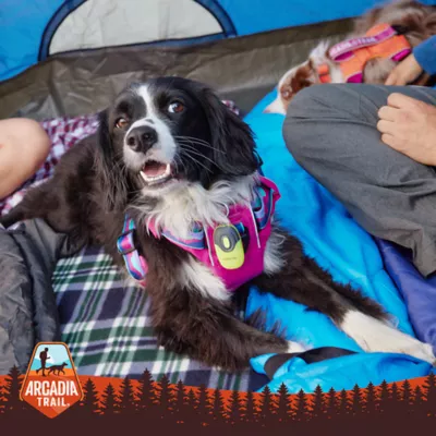 Product Arcadia Trail® Covered Dog Bed